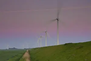 Electric Prints: Picture No. 11672891
