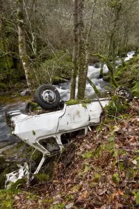 Accident Prints: Picture No. 11674832