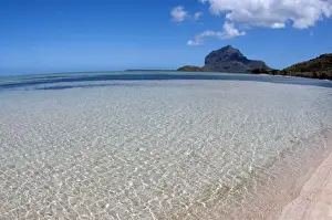 Morne Prints: Picture No. 11674971