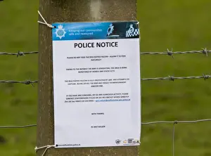 Signs Prints: Picture No. 11675646