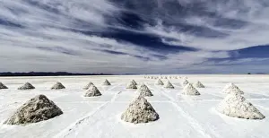 Piles Prints: Picture No. 11675865