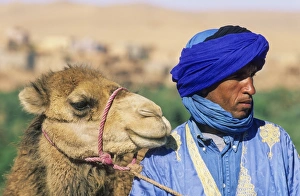 Morocco Collection: Picture No. 11676046