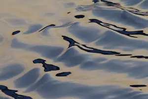 Ripples Prints: Picture No. 11676541