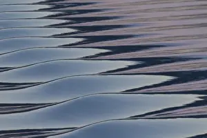 Ripples Prints: Picture No. 11676544