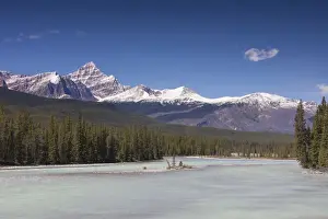 Athabasca Prints: Picture No. 11676651