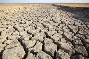 Earth Prints: Picture No. 11676982