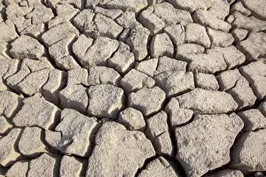 Earth Prints: Picture No. 11676984