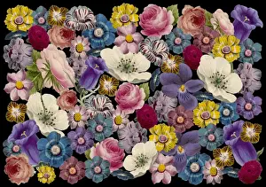 Packaging Prints: Picture No. 11768762