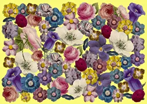 Packaging Prints: Picture No. 11768765