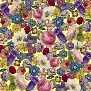 Packaging Prints: Picture No. 11768771