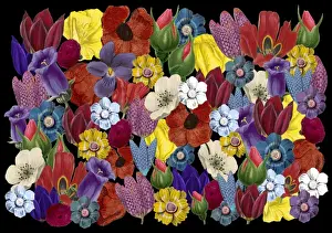 Packaging Prints: Picture No. 11768780