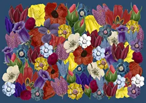 Packaging Prints: Picture No. 11768781