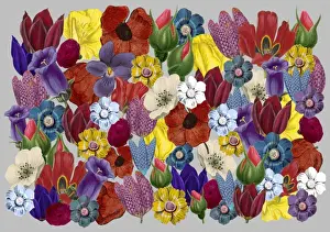 Packaging Prints: Picture No. 11768785