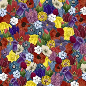 Packaging Prints: Picture No. 11768787
