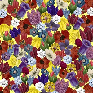 Packaging Prints: Picture No. 11768789