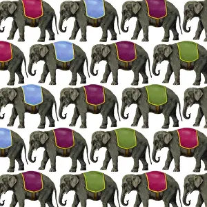 Packaging Prints: Picture No. 11768794