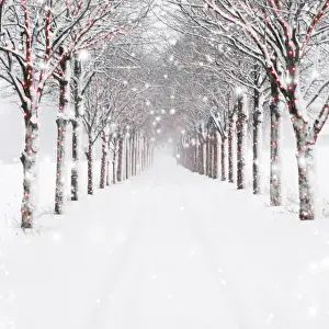 Avenue Prints: Picture No. 11768819