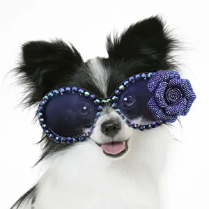 Picture No. 11768889