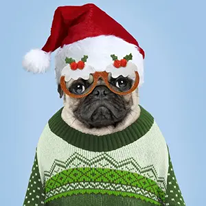 Picture No. 11768891