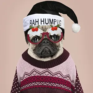 Grumpy Prints: Picture No. 11768892