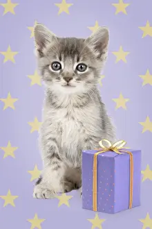 Gift Prints: Picture No. 11768900