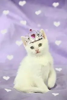 Crown Prints: Picture No. 11768908