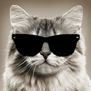 Cool Prints: Picture No. 11768995