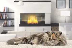 Fireplace Prints: Picture No. 11770812