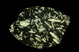 Stone Prints: Picture No. 11806836