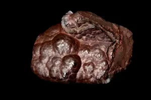 Minerals Prints: Picture No. 11806843
