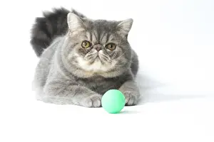 Balls Prints: Picture No. 11807590