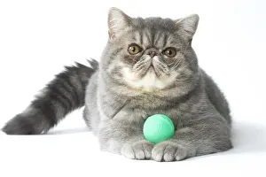 Balls Prints: Picture No. 11807591