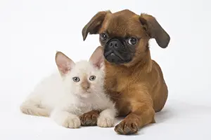 Picture No. 11808227