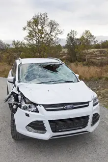 Accident Prints: Picture No. 11808588