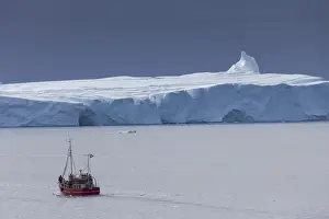Fishing Boat Prints: Picture No. 11808744