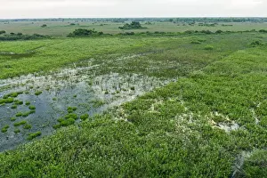 Marsh Prints: Picture No. 11980775