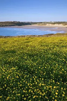 Kernow Prints: Picture No. 11981458