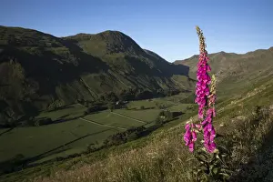 Cumbria Prints: Picture No. 11981495