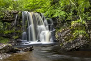 Falls Prints: Picture No. 11981498