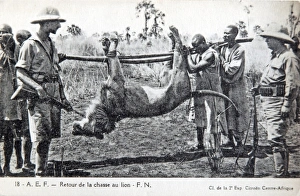 Hunter Collection: Picture No. 11981749