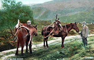 Hunter Collection: Picture No. 11981750