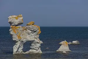 Gotland Prints: Picture No. 11982087