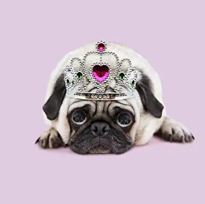 Crown Prints: Picture No. 11982358