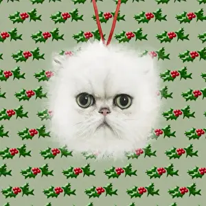 Bauble Prints: Picture No. 11982378