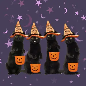 100817 Prints: Picture No. 11982380