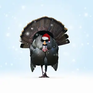 Turkey Prints: Picture No. 11982392