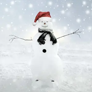 Snowmen Prints: Picture No. 11982409