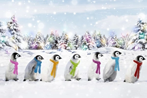 Line Collection: Picture No. 11982413