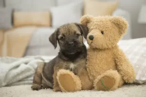 Cuddly Prints: Picture No. 11991816