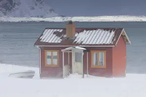 Cabin Prints: Picture No. 11992163